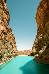 pexels tyrrel burns 564860323 17049067