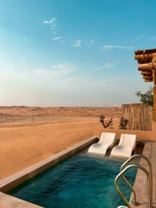 pexels vince 21856166